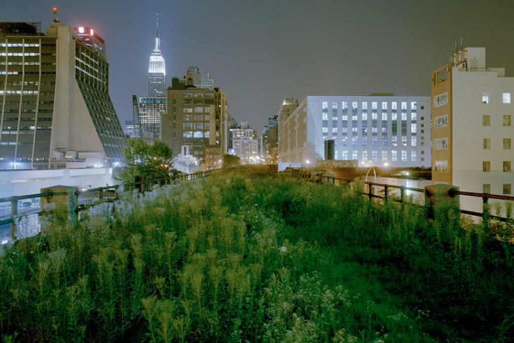 The High Line Park – New York