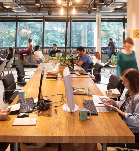 Outdoor Offices Are the Next Big Thing﻿