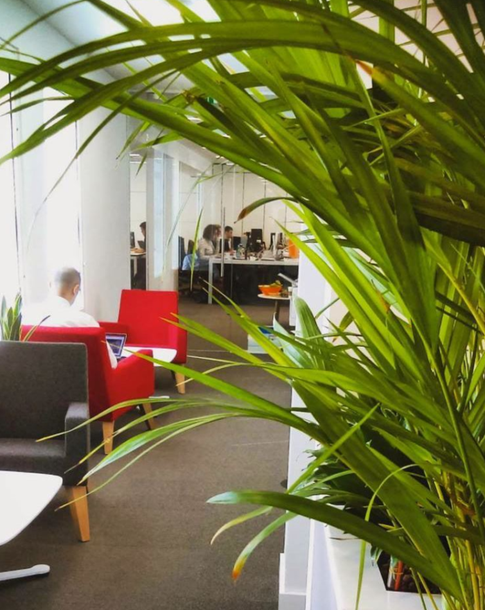 Easy Ways to Make your Office More Eco-Friendly