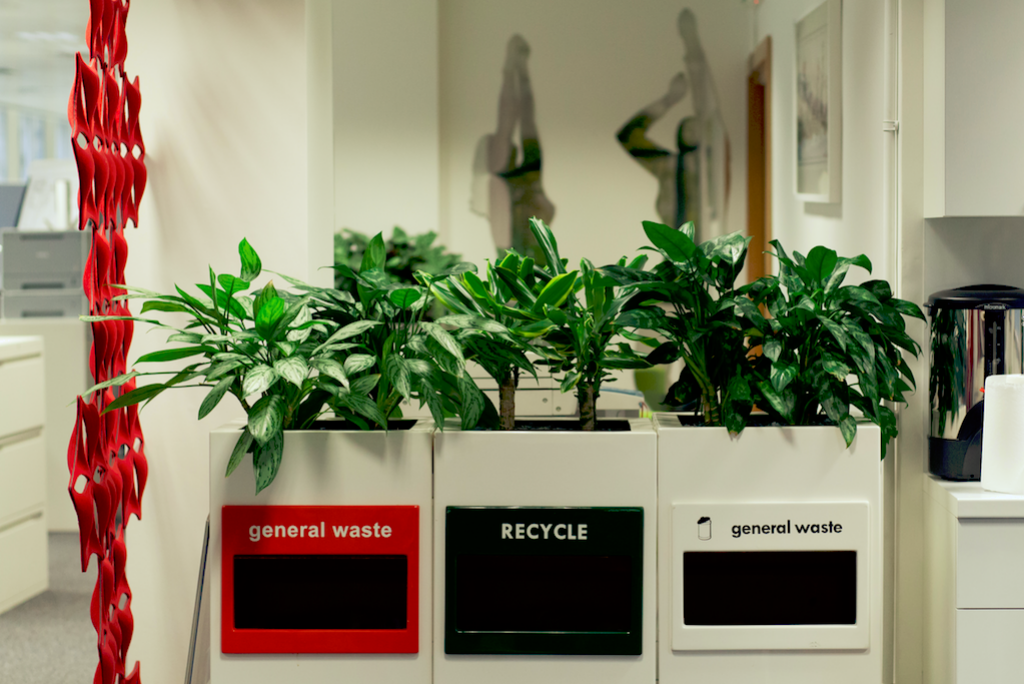 9 Simple Steps to Recycling at the Office