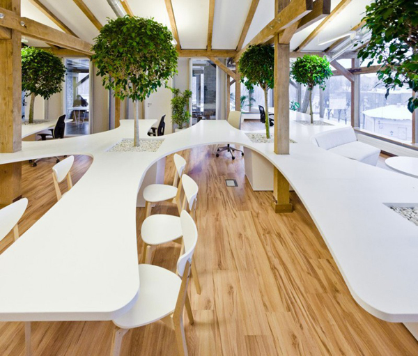 Office with organic elements