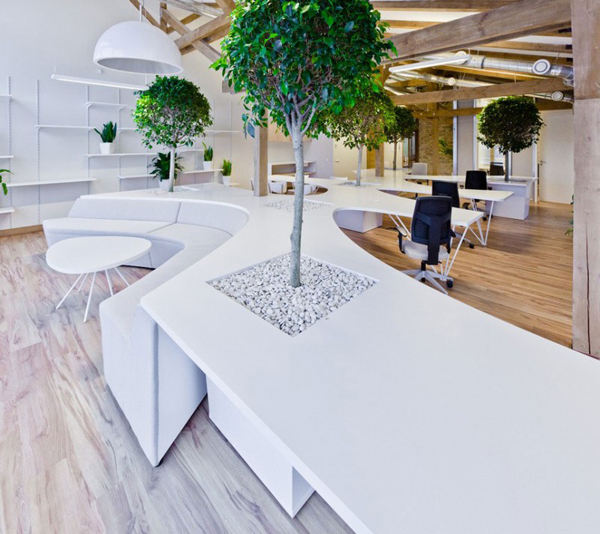 Office with trees in desk