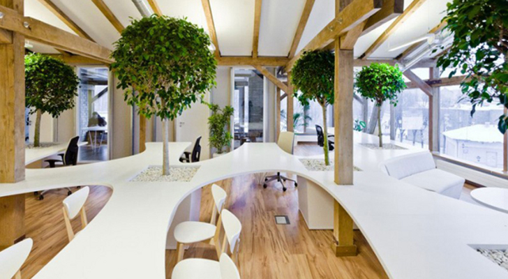 Office-Building-Has-Indoor-Forest-of-Trees-Potted-Plants