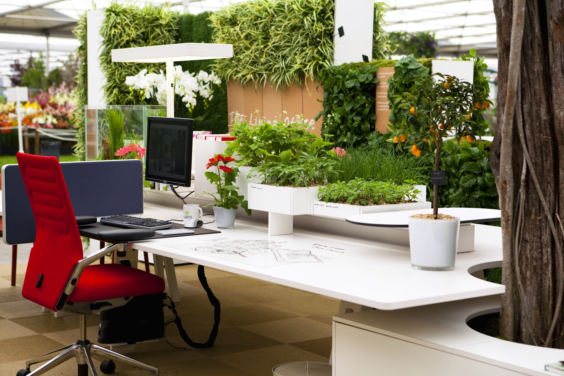 Office plants - eOffice