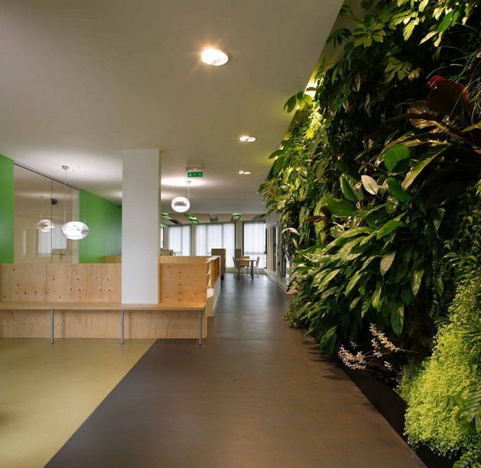 Green Office Design Using Natural Materials 