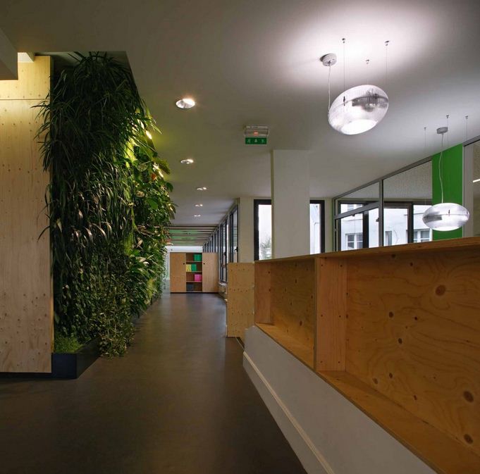Green Office Design Using Natural Materials 