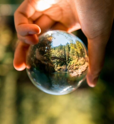 Inspiring Offices Hit The Amsterdam Startup Scene